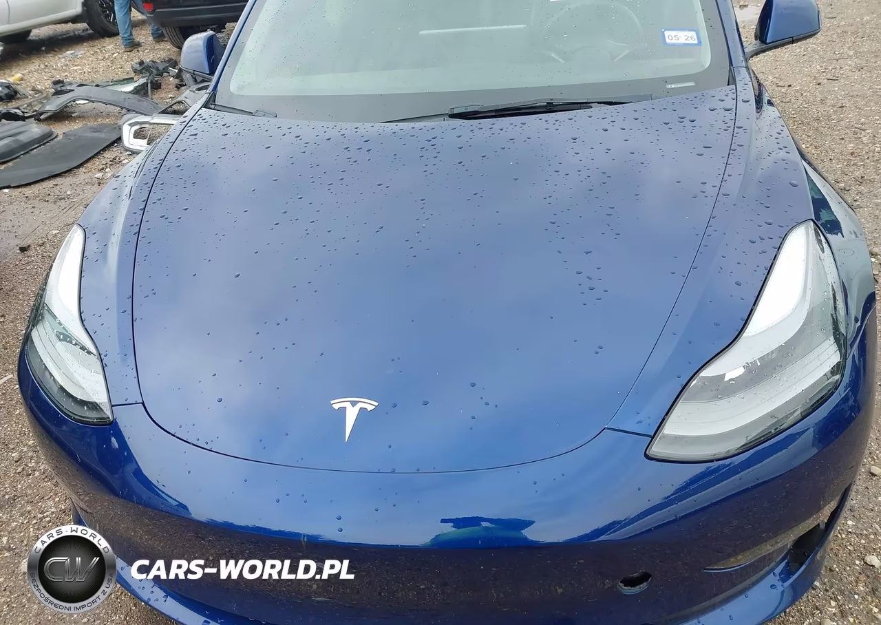 2023 Tesla Model 3 Rear-Wheel Drive VIN:5YJ3E1EAXPF434654 - 10