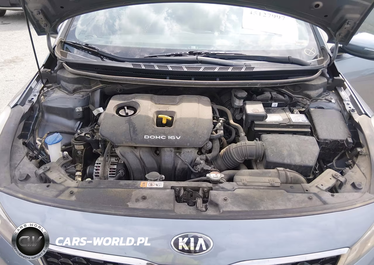 2017 Kia Forte S VIN:3KPFL4A79HE037877 - 10