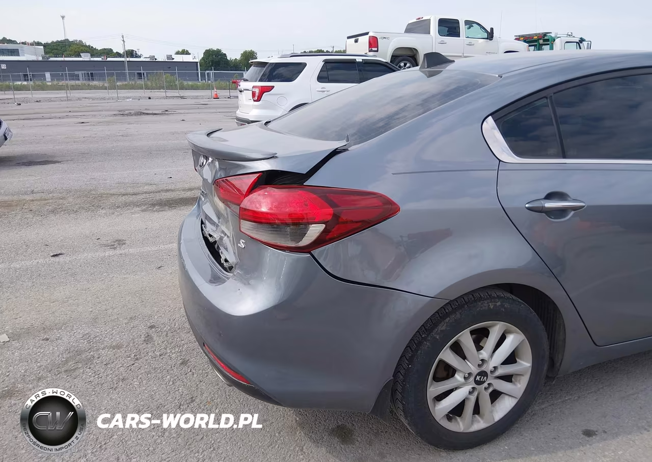 2017 Kia Forte S VIN:3KPFL4A79HE037877 - 13