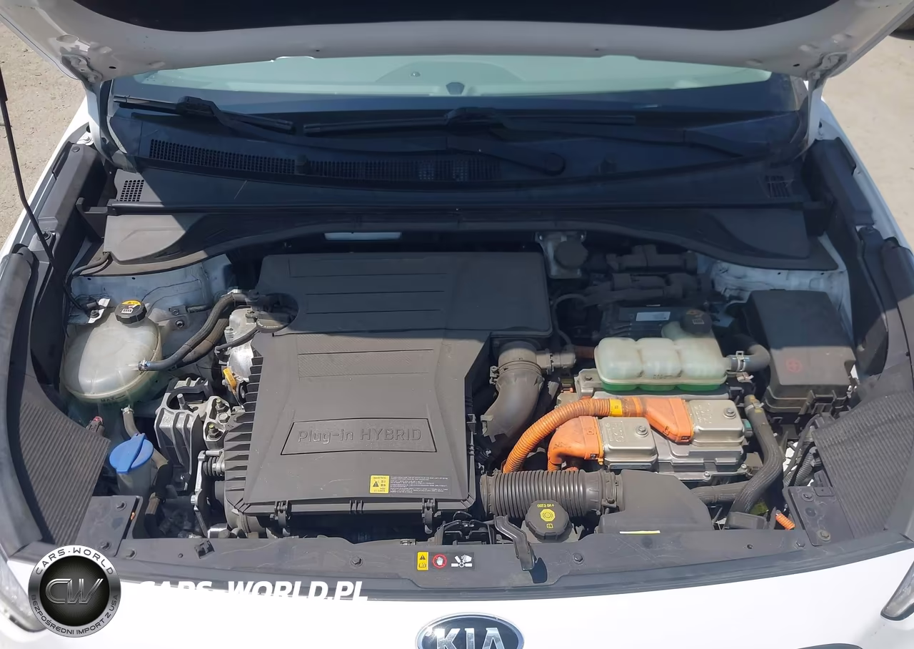 2019 Kia Niro Plug-In Hybrid Ex VIN:KNDCD3LDXK5217630 - 10