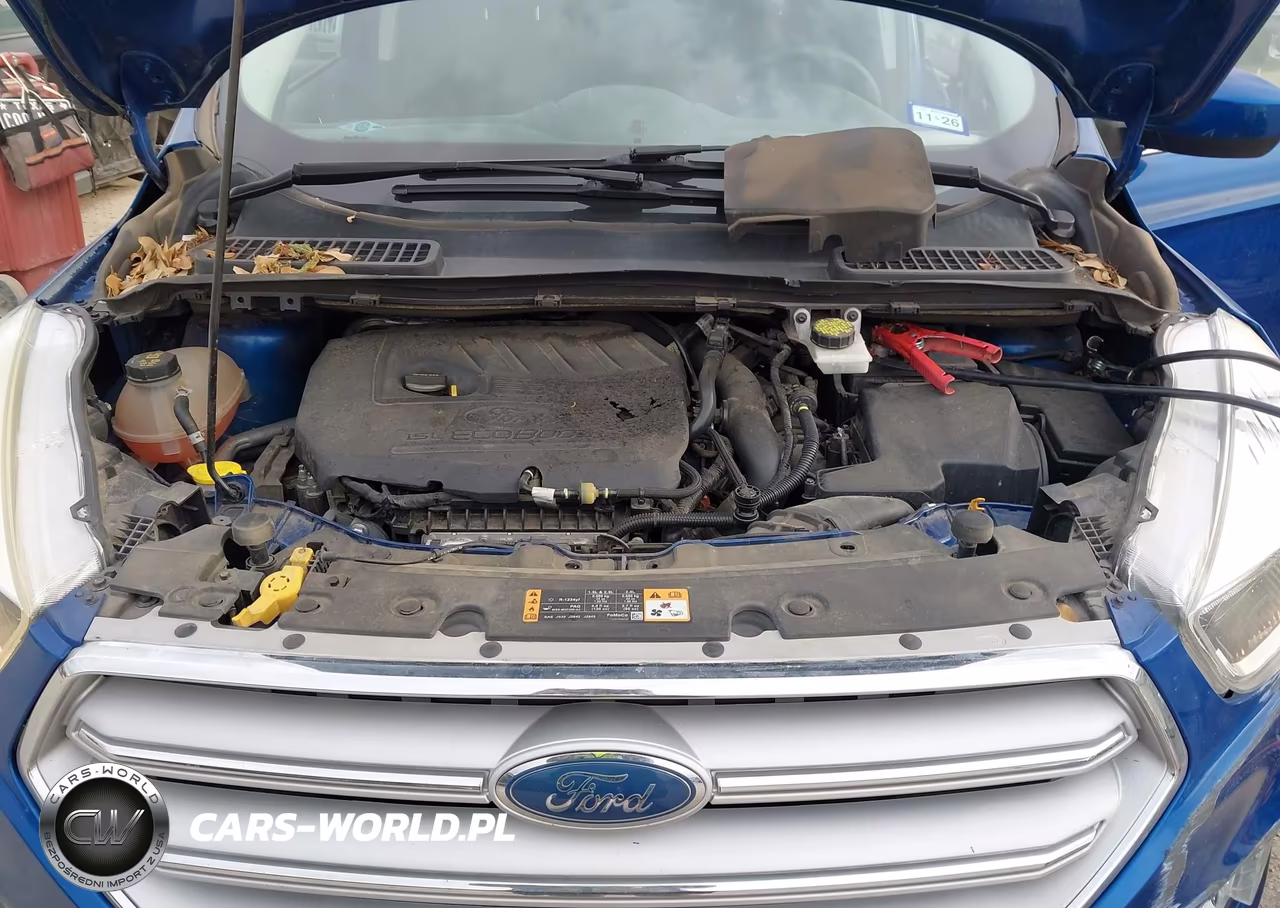 2018 Ford Escape Se VIN:1FMCU0GD1JUA81509 - 10