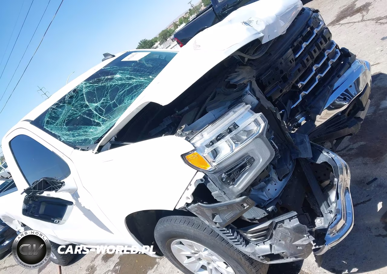 2022 Chevrolet Silverado 1500 2Wd Standard Bed Wt VIN:3GCNAAEK1NG508841 - 20