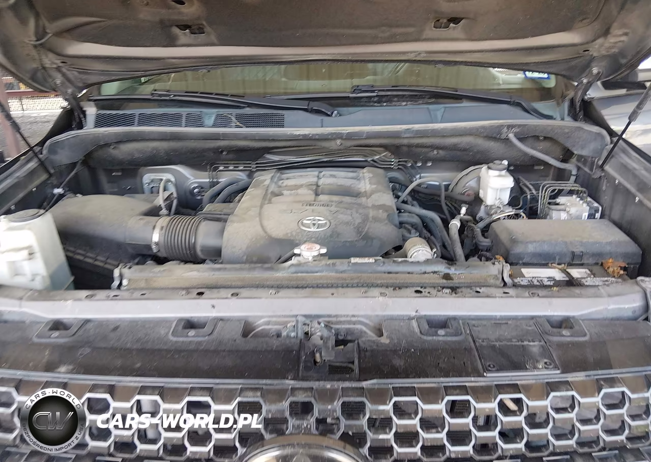 2020 Toyota Tundra Platinum VIN:5TFGY5F14LX258747 - 10