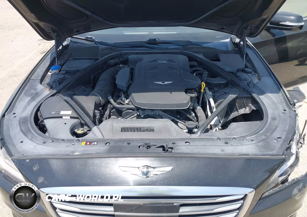 2017 Genesis G80 3.8 VIN:KMHGN4JE3HU174730 - 10