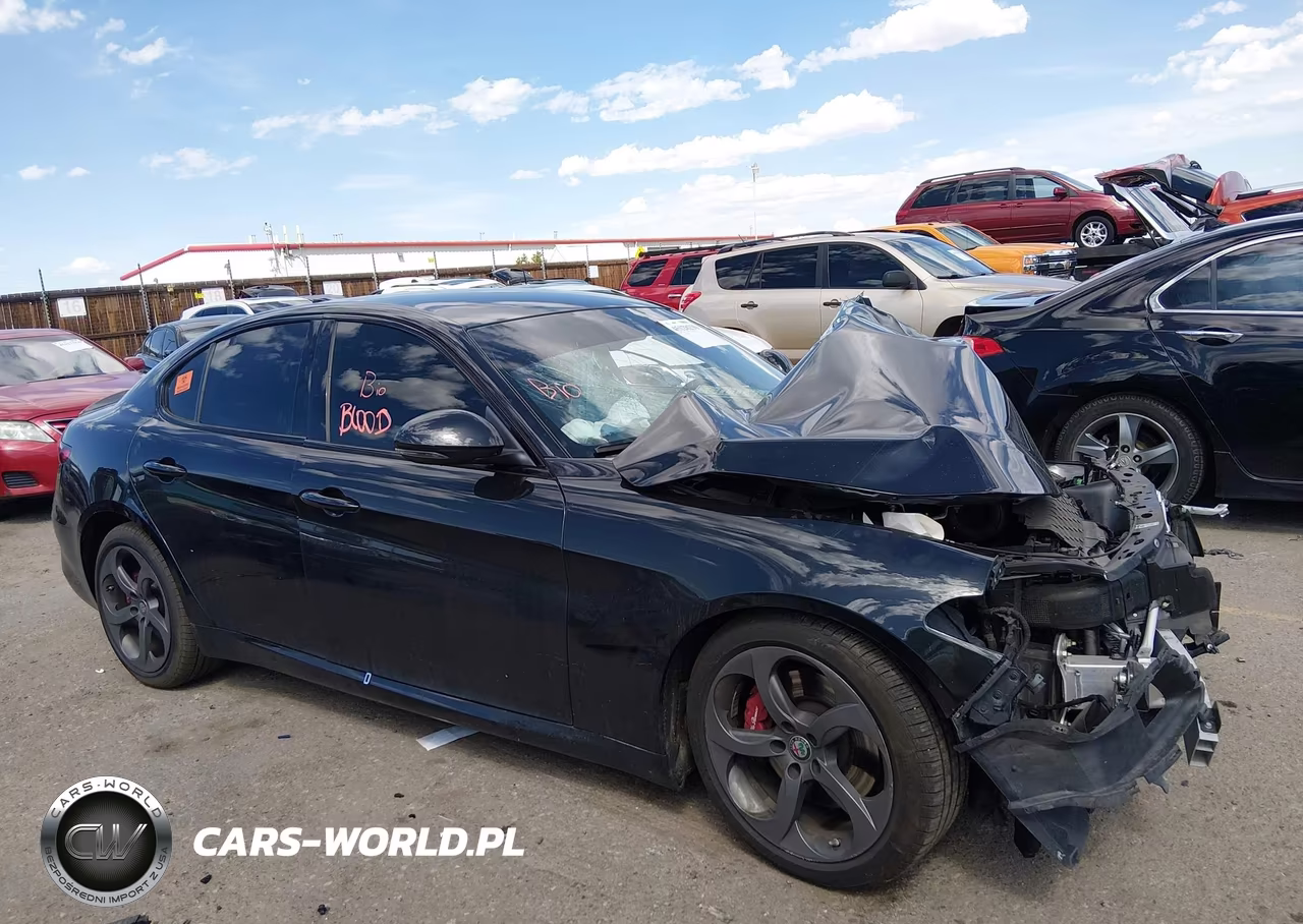 2017 Alfa Romeo Giulia Awd VIN:ZARFAEDN8H7534348 - 13