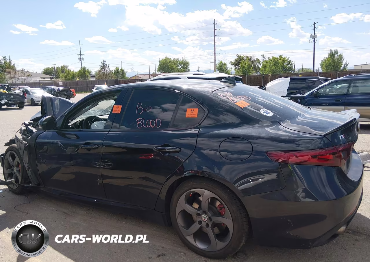 2017 Alfa Romeo Giulia Awd VIN:ZARFAEDN8H7534348 - 14