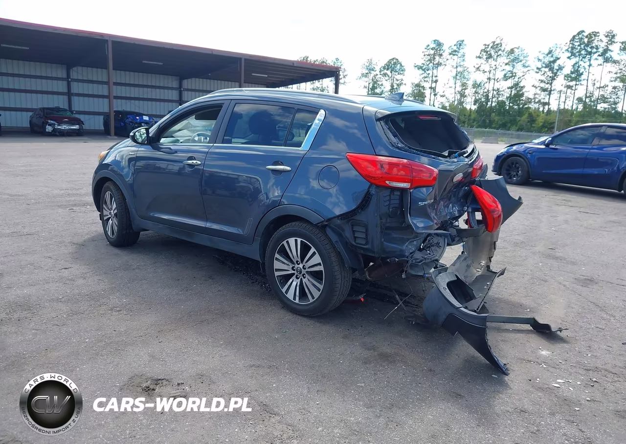 2014 Kia Sportage Ex VIN:KNDPCCAC9E7646653 - 3