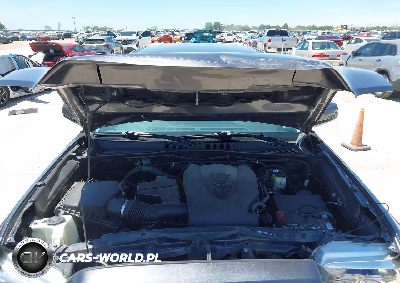 2016 Toyota Tacoma Sr5 V6 VIN:5TFAZ5CN4GX007422 - 10