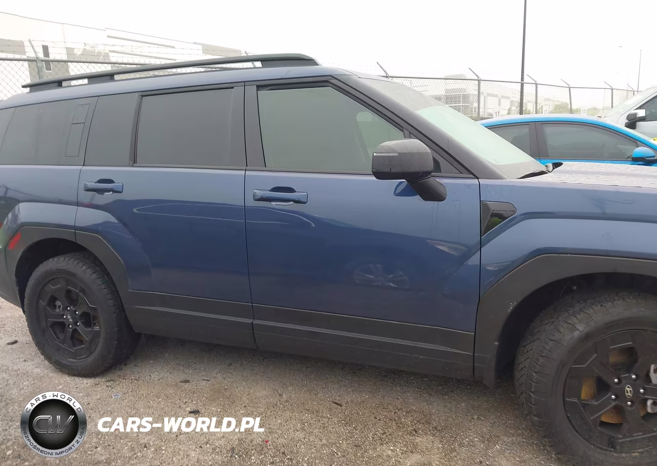 2025 Hyundai Santa Fe Xrt VIN:5NMP3DGL5SH149410 - 13