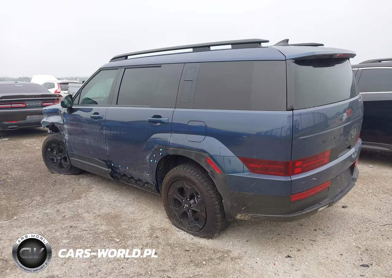 2025 Hyundai Santa Fe Xrt VIN:5NMP3DGL5SH149410 - 3