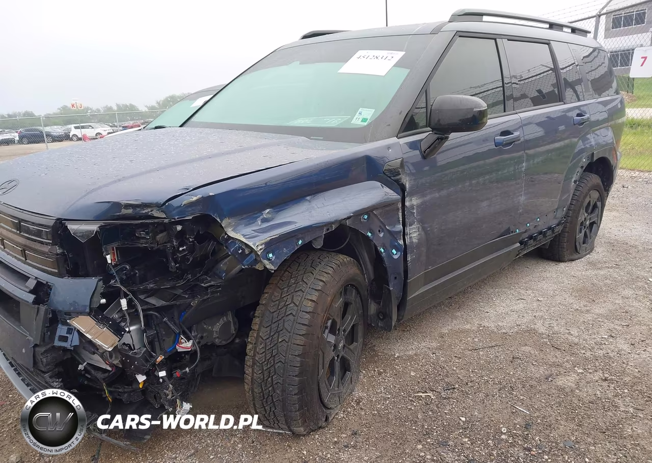 2025 Hyundai Santa Fe Xrt VIN:5NMP3DGL5SH149410 - 6