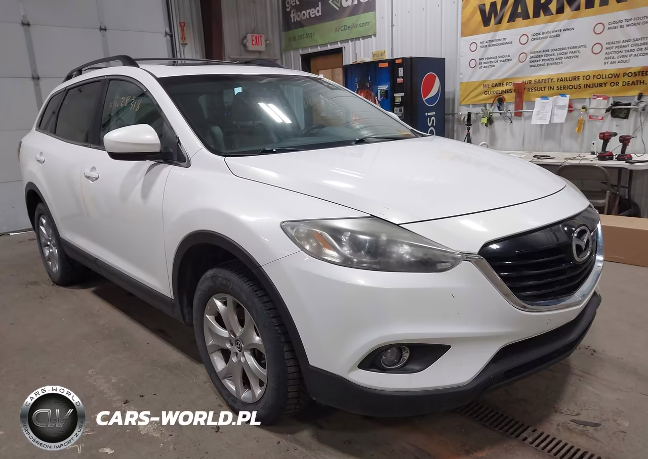 2015 Mazda Cx-9 Touring VIN:JM3TB2CA2F0469193 - 6