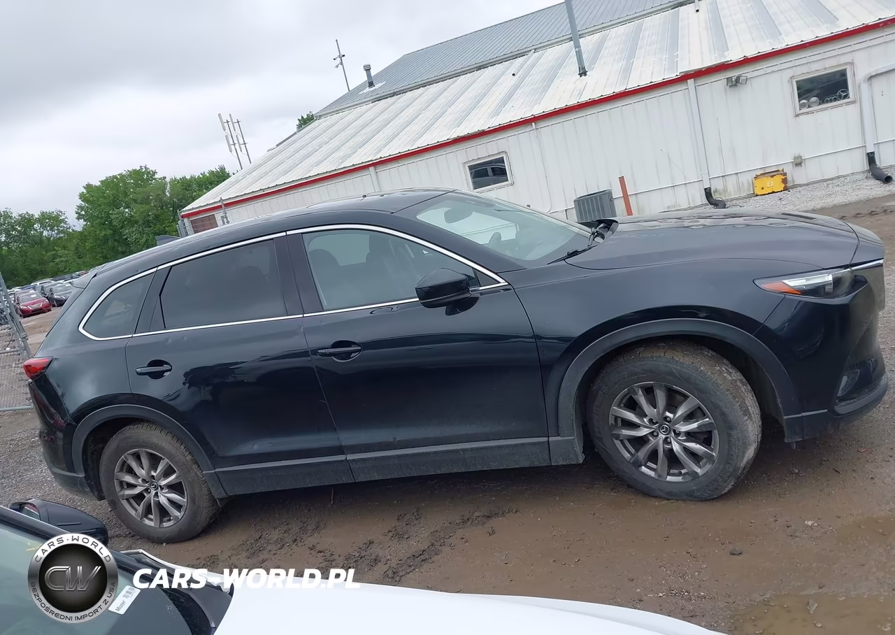 2017 Mazda Cx-9 Touring VIN:JM3TCBCY1H0136027 - 13