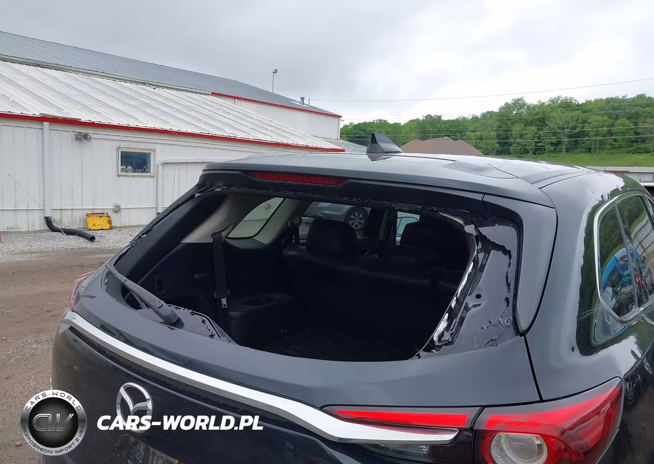 2017 Mazda Cx-9 Touring VIN:JM3TCBCY1H0136027 - 19