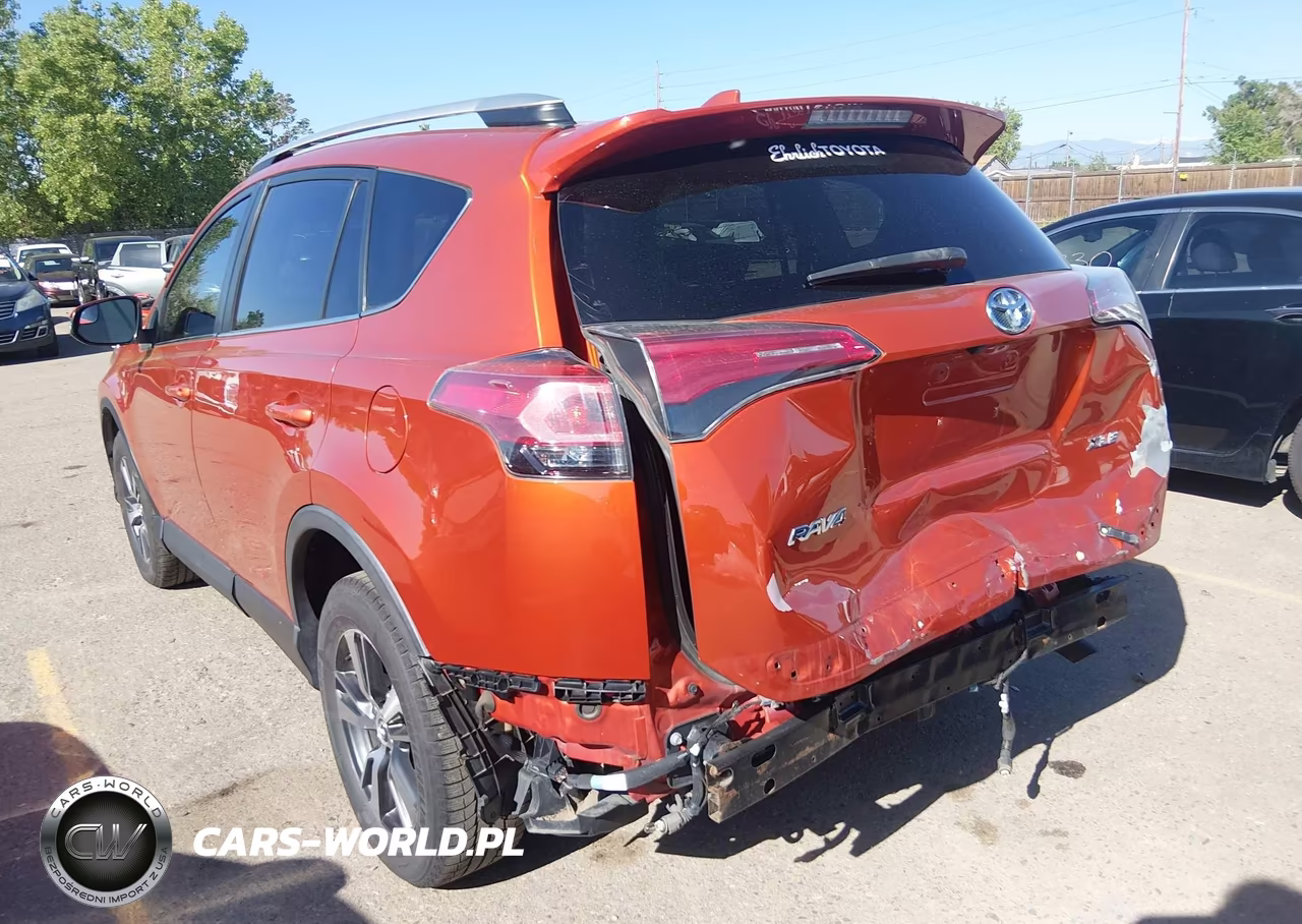 2016 Toyota Rav4 Xle VIN:2T3WFREV9GW245693 - 3