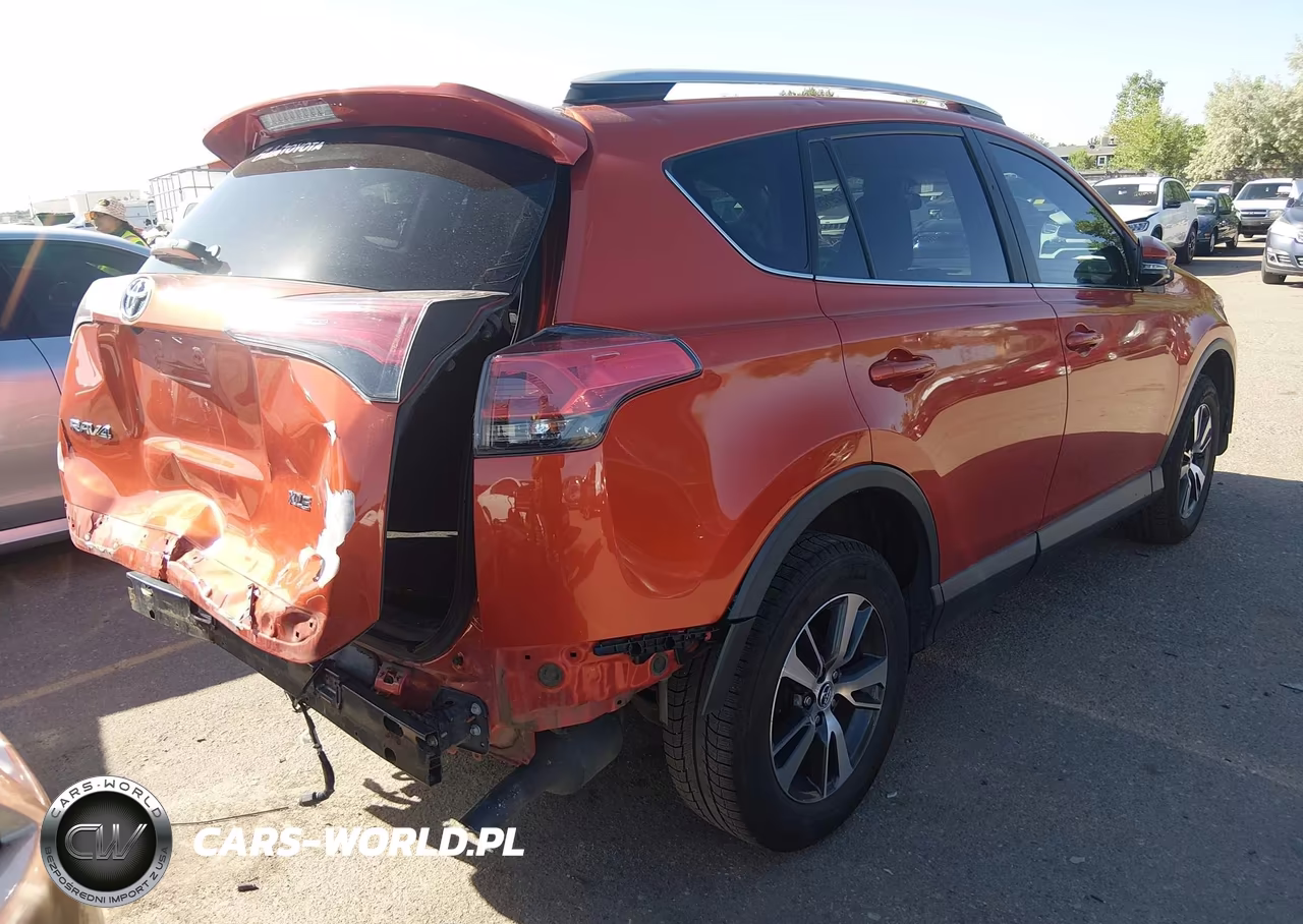 2016 Toyota Rav4 Xle VIN:2T3WFREV9GW245693 - 4