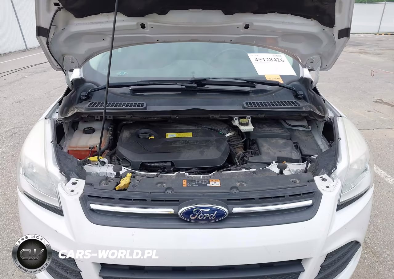 2014 Ford Escape Se VIN:1FMCU0GX2EUC43499 - 10