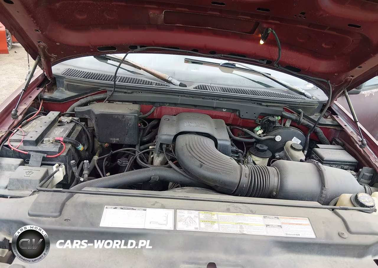 1997 Ford F-150 Lariat-Standard-Xl-Xlt VIN:1FTEF17W3VNA58716 - 10