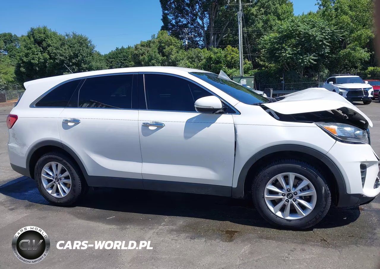 2020 Kia Sorento 2.4L Lx VIN:5XYPG4A32LG627193 - 13