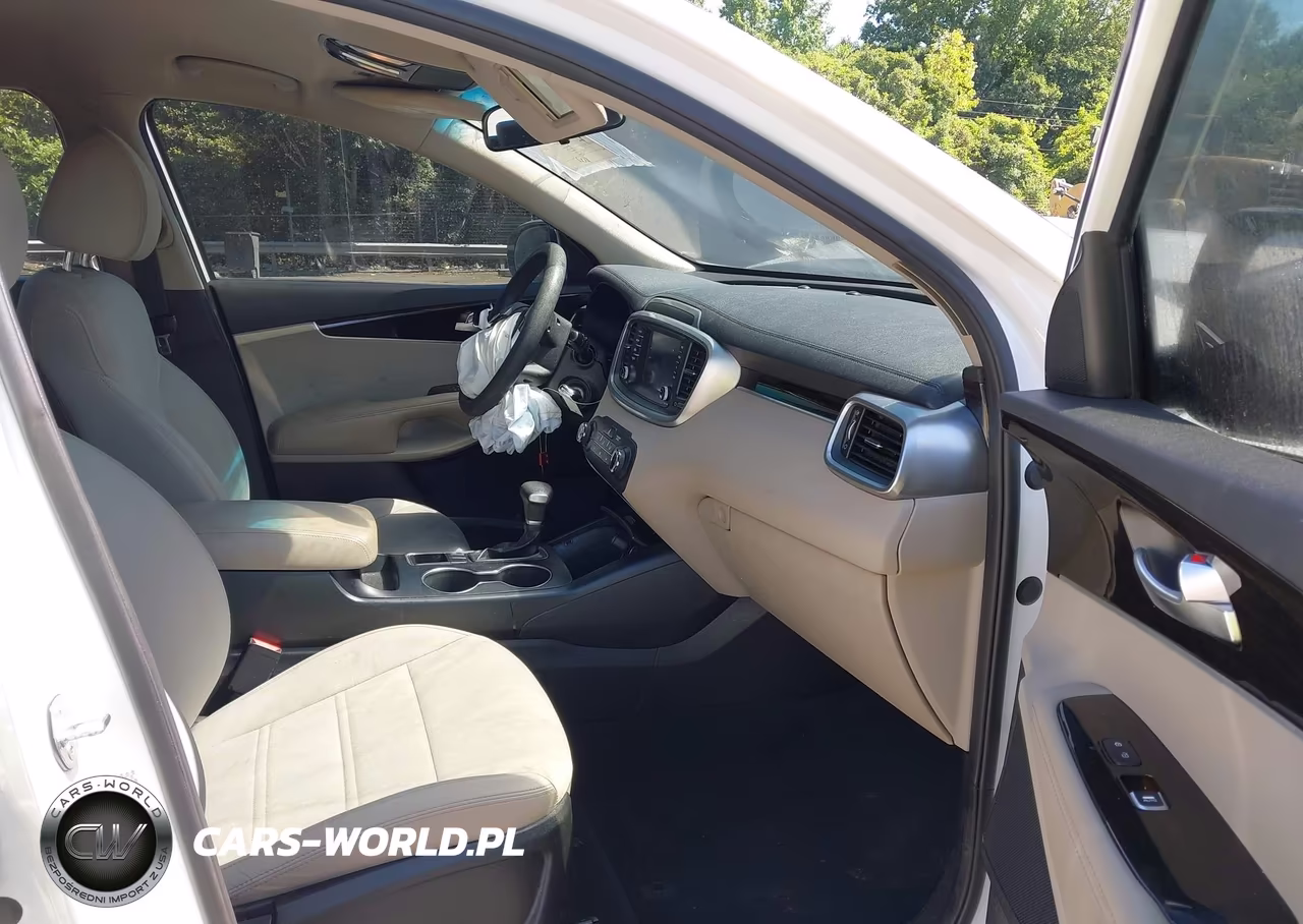 2020 Kia Sorento 2.4L Lx VIN:5XYPG4A32LG627193 - 5