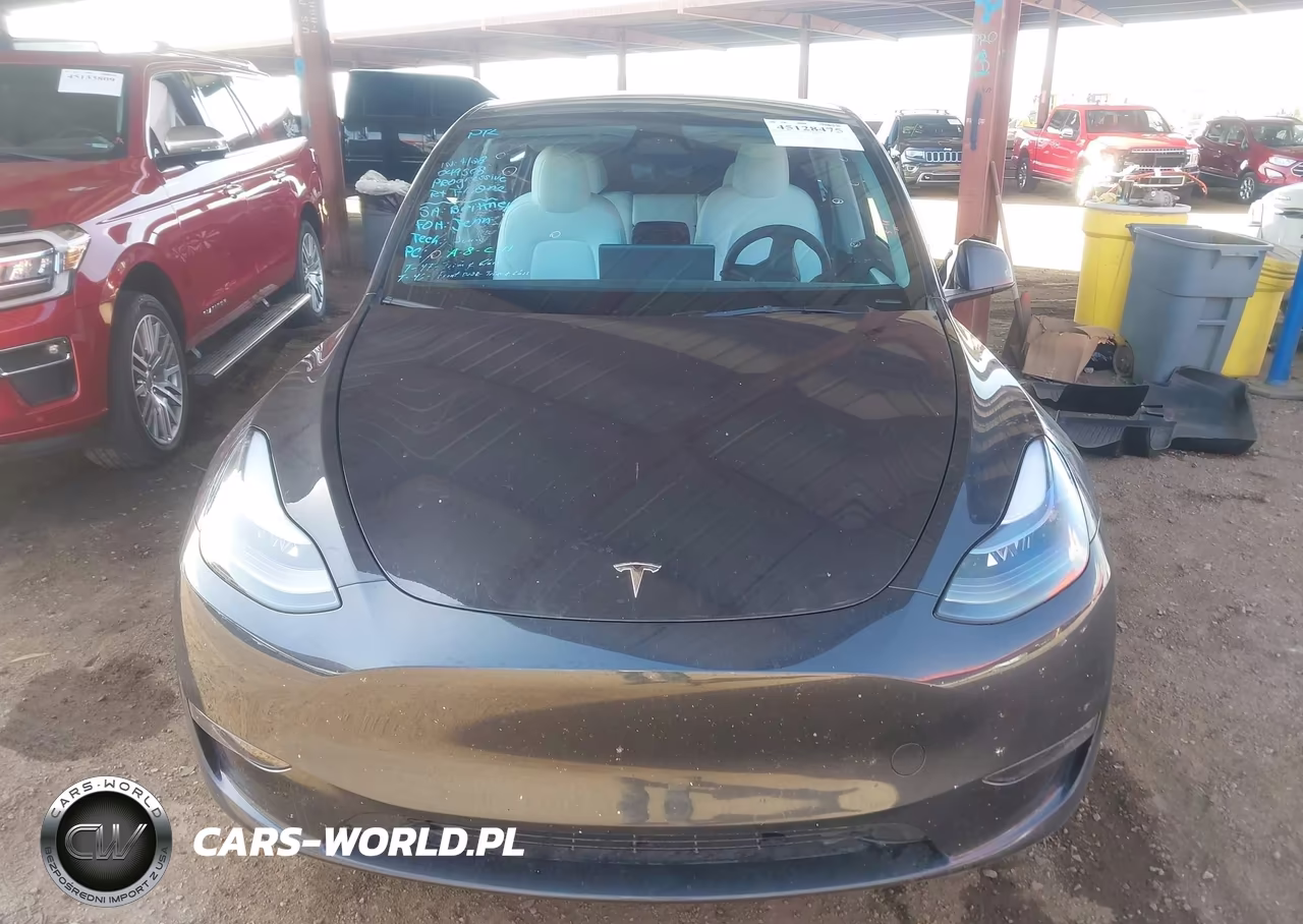 2024 Tesla Model Y Performance Dual Motor All-Wheel Drive VIN:7SAYGDEF9RF049508 - 12