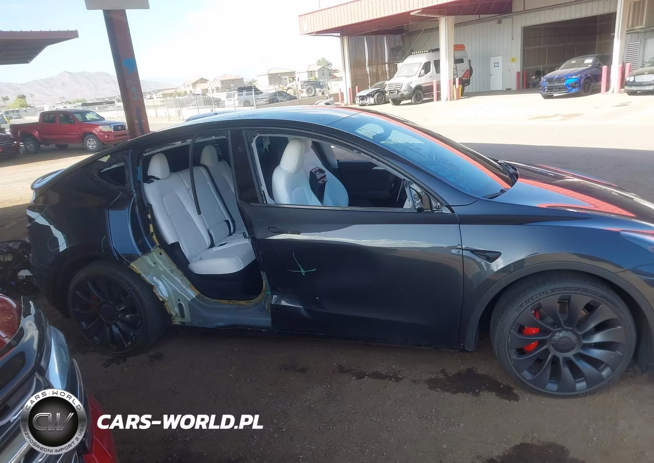 2024 Tesla Model Y Performance Dual Motor All-Wheel Drive VIN:7SAYGDEF9RF049508 - 13