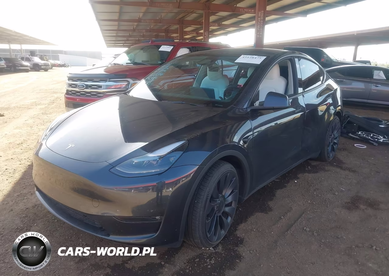 2024 Tesla Model Y Performance Dual Motor All-Wheel Drive VIN:7SAYGDEF9RF049508 - 2