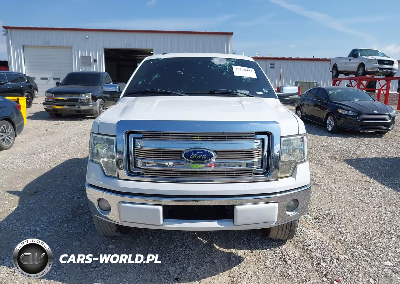 2013 Ford F-150 Xlt VIN:1FTFW1CF9DKG49210 - 12