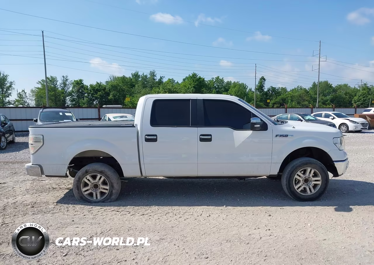 2013 Ford F-150 Xlt VIN:1FTFW1CF9DKG49210 - 13
