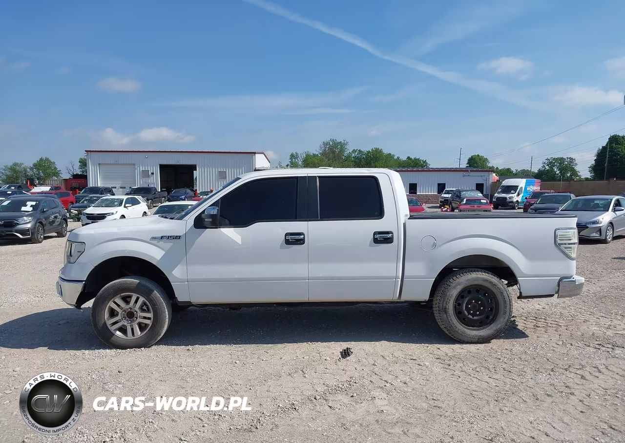 2013 Ford F-150 Xlt VIN:1FTFW1CF9DKG49210 - 14