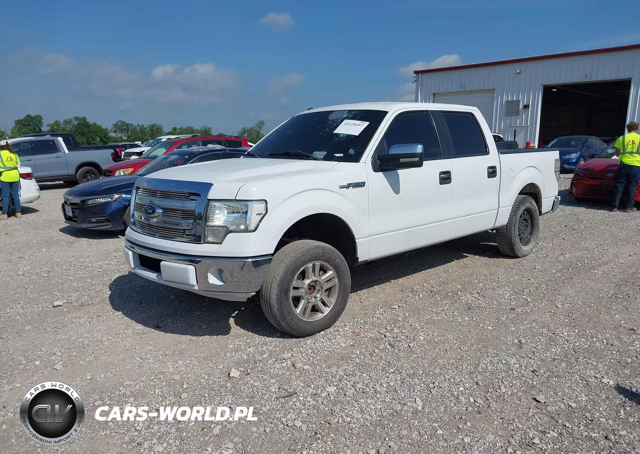 2013 Ford F-150 Xlt VIN:1FTFW1CF9DKG49210 - 2
