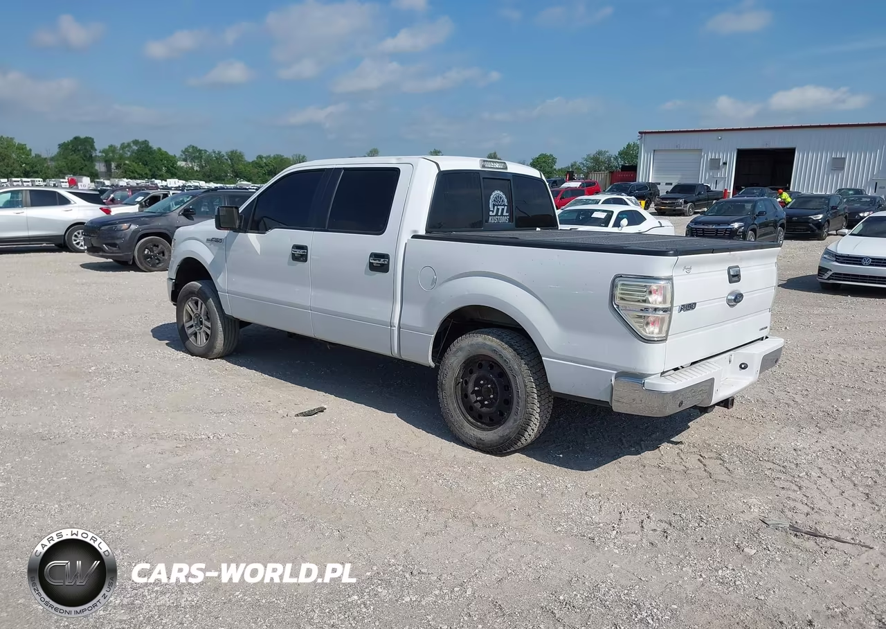 2013 Ford F-150 Xlt VIN:1FTFW1CF9DKG49210 - 3