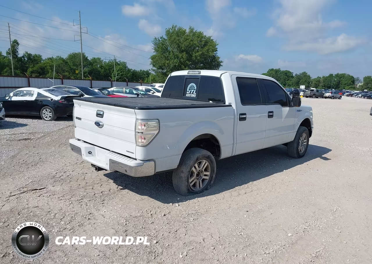 2013 Ford F-150 Xlt VIN:1FTFW1CF9DKG49210 - 4