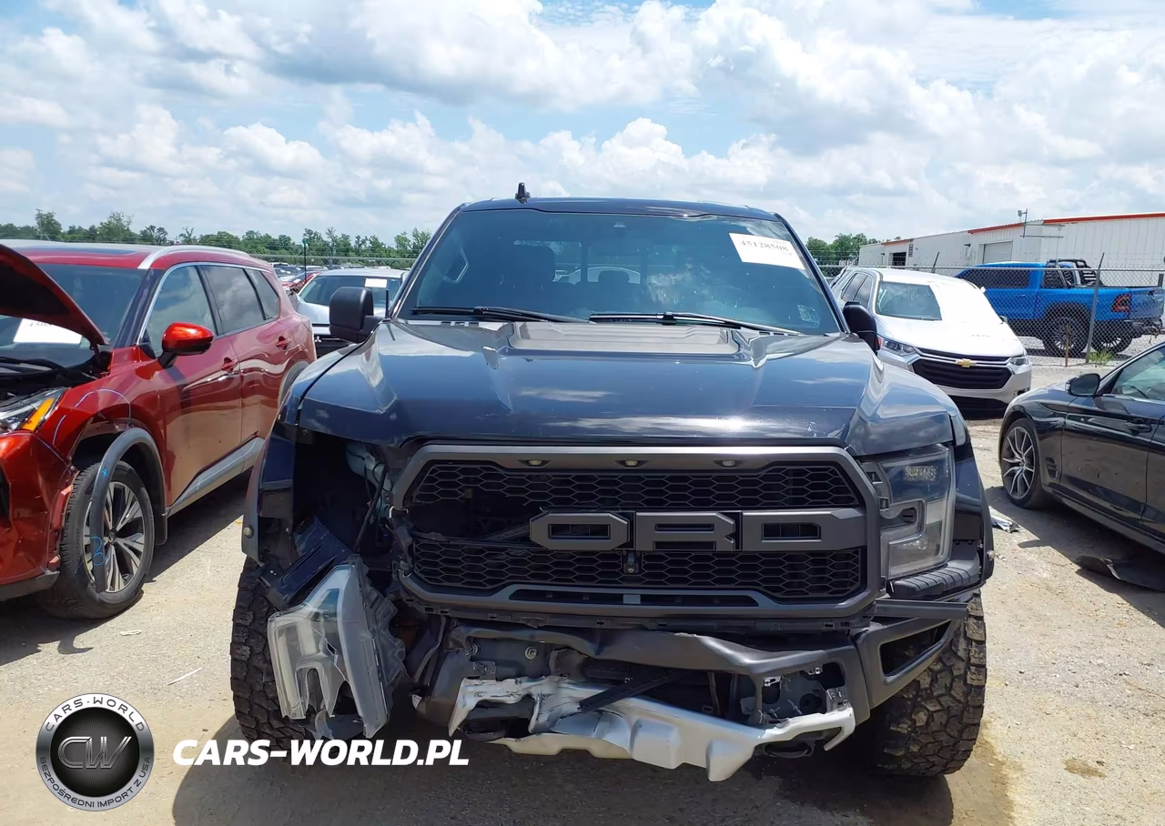 2019 Ford F-150 Raptor VIN:1FTFW1RG1KFB88526 - 12