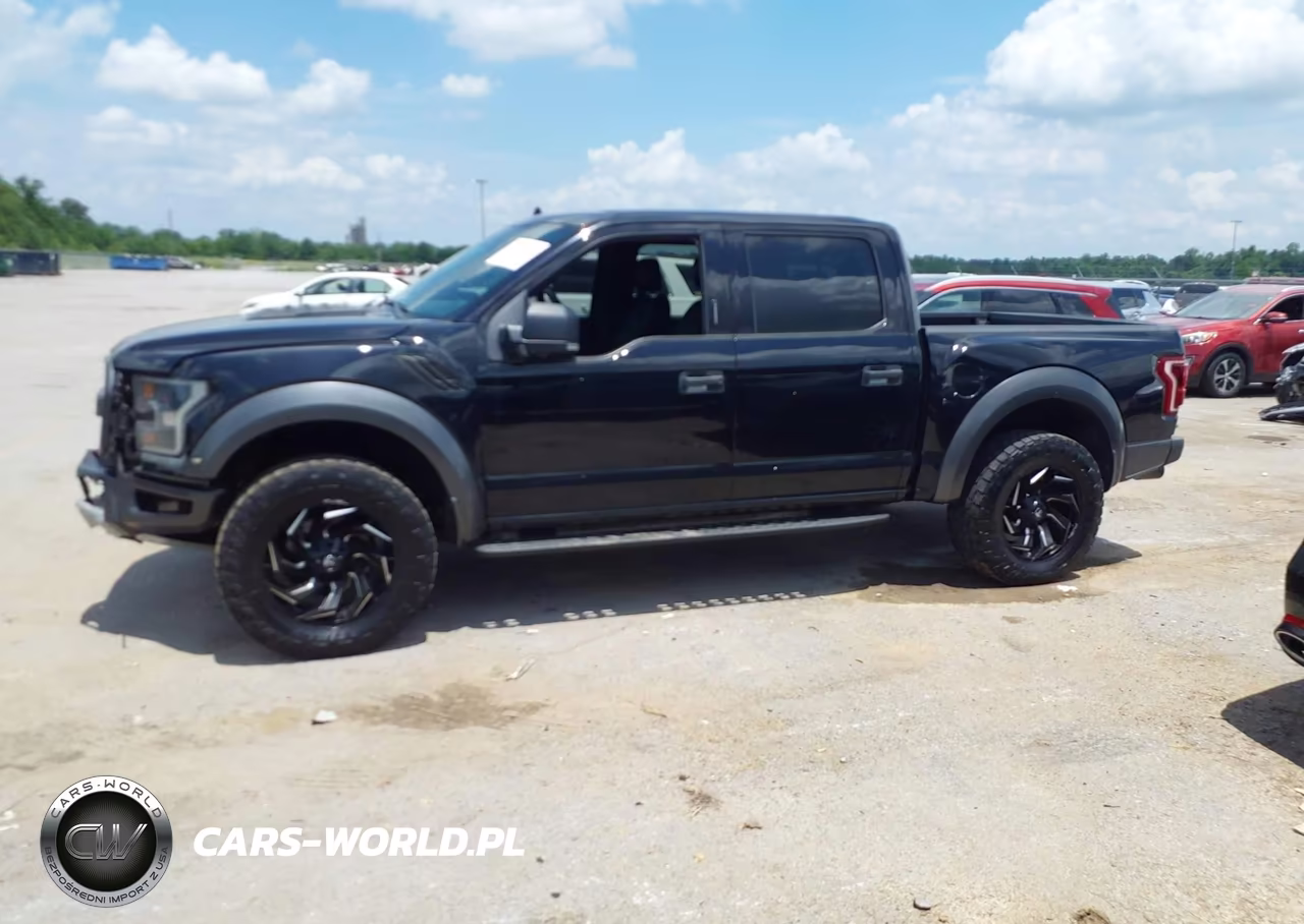 2019 Ford F-150 Raptor VIN:1FTFW1RG1KFB88526 - 14