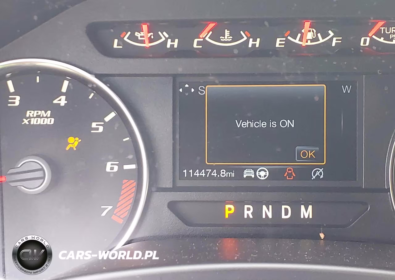 2019 Ford F-150 Raptor VIN:1FTFW1RG1KFB88526 - 15
