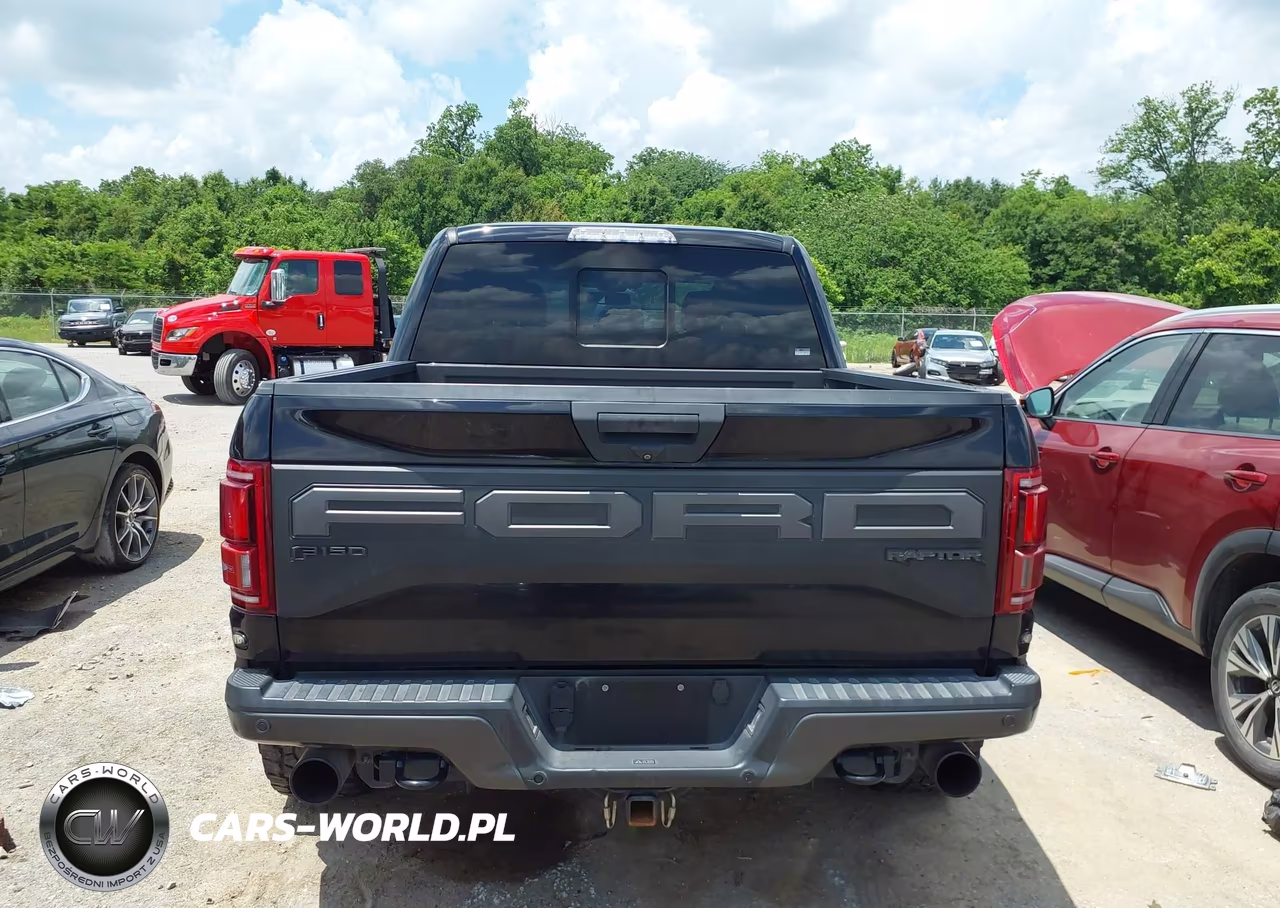 2019 Ford F-150 Raptor VIN:1FTFW1RG1KFB88526 - 16