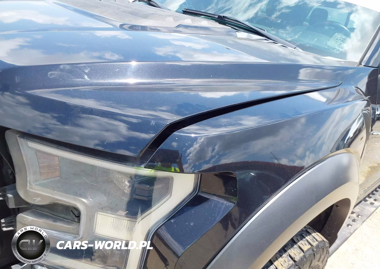 2019 Ford F-150 Raptor VIN:1FTFW1RG1KFB88526 - 17