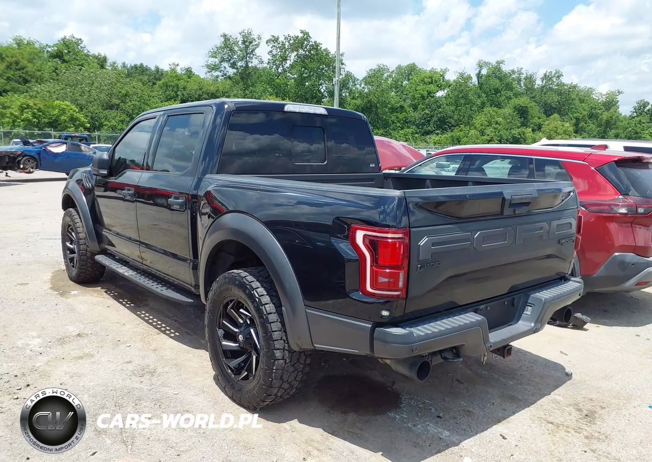2019 Ford F-150 Raptor VIN:1FTFW1RG1KFB88526 - 3