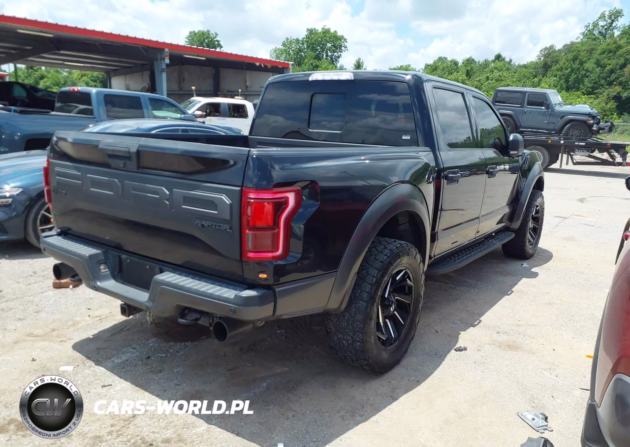 2019 Ford F-150 Raptor VIN:1FTFW1RG1KFB88526 - 4