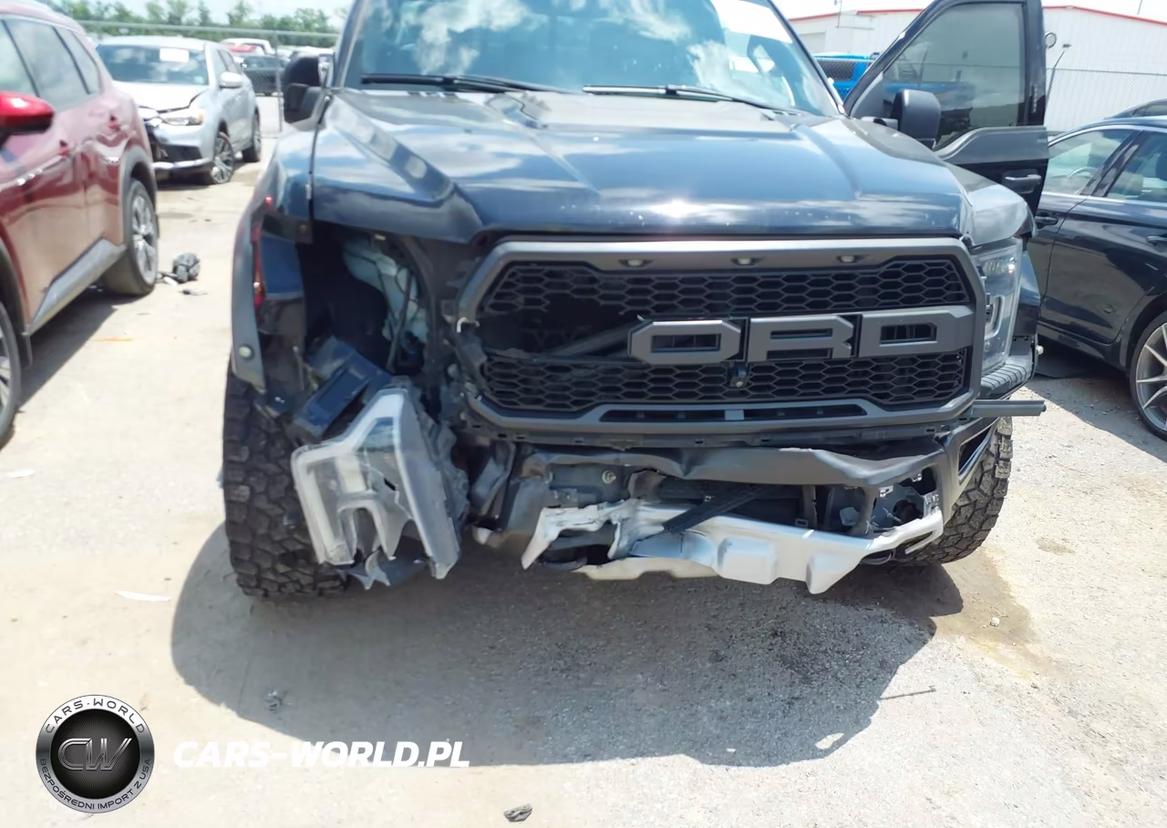 2019 Ford F-150 Raptor VIN:1FTFW1RG1KFB88526 - 6