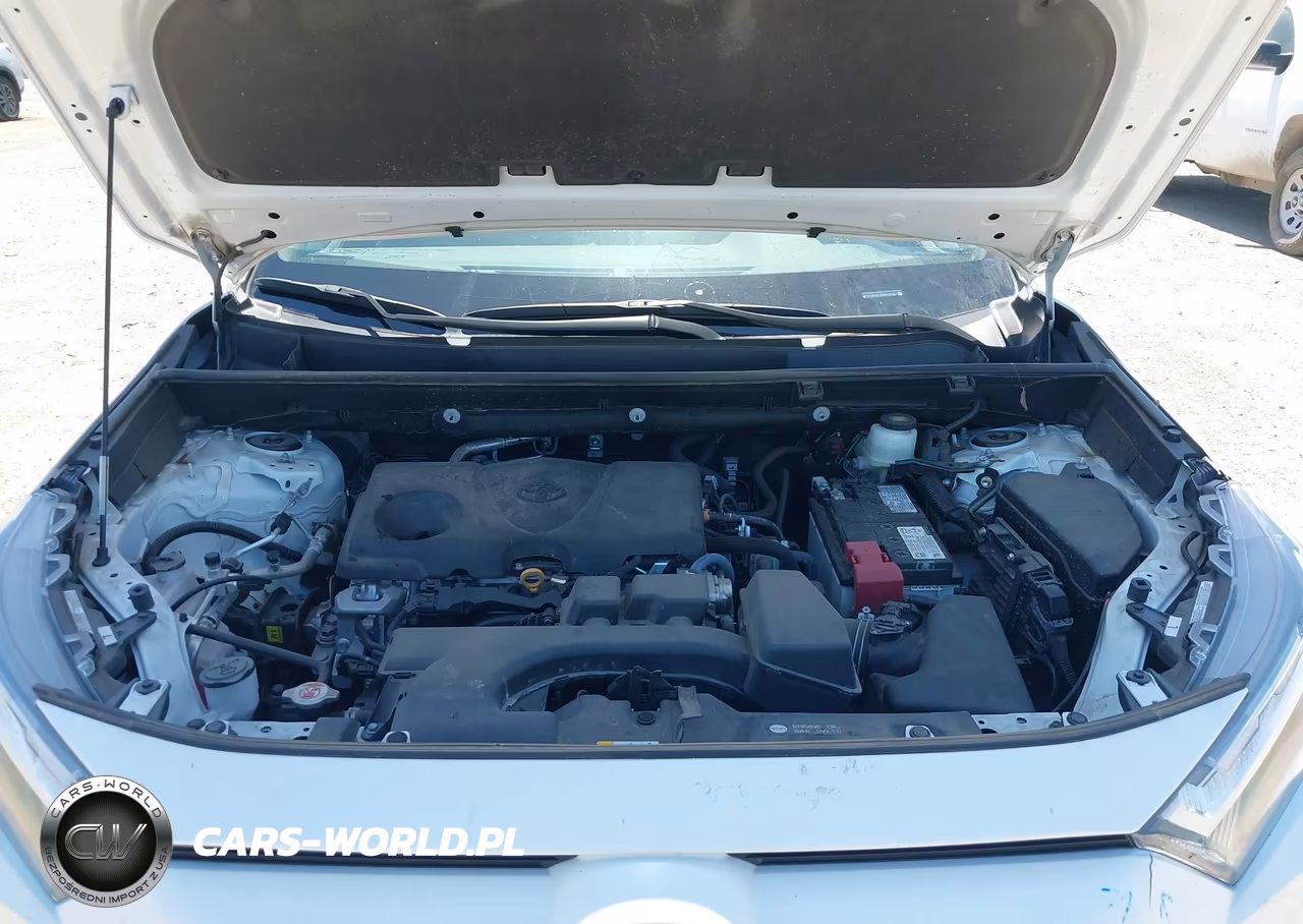 2024 Toyota Rav4 Xle VIN:2T3W1RFV9RW335961 - 10