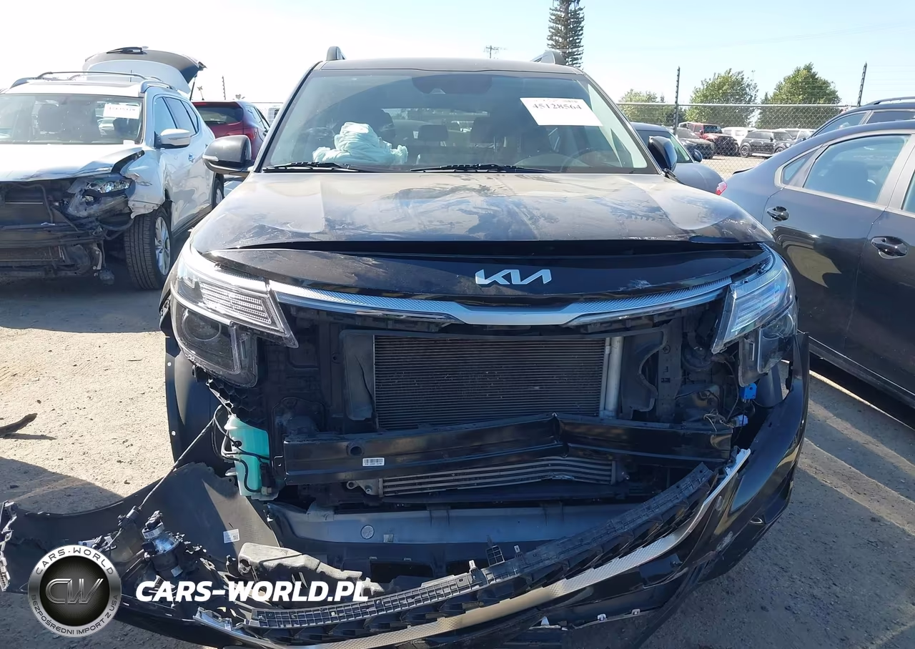 2022 Kia Seltos Nightfall Edition VIN:KNDEUCA22N7254495 - 12