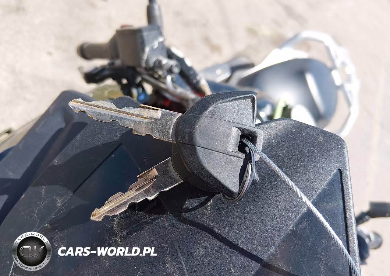 2023 BMW G310 Gs VIN:WB30G330XPRA40575 - 11