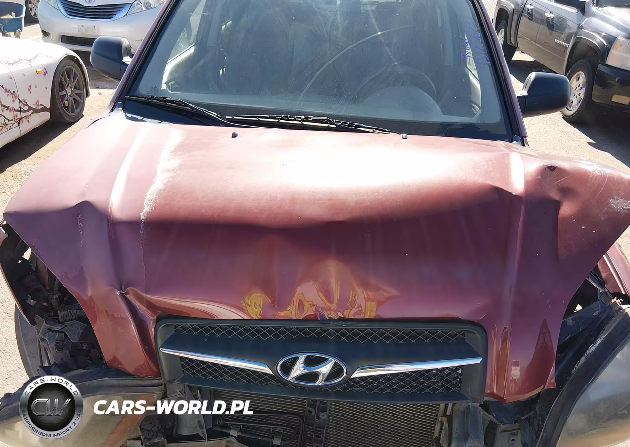 2009 Hyundai Tucson Gls VIN:KM8JM12B49U988429 - 10