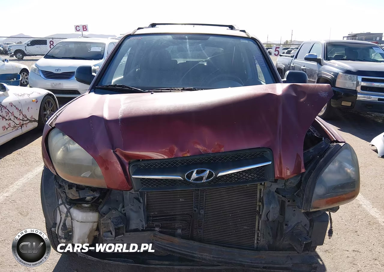 2009 Hyundai Tucson Gls VIN:KM8JM12B49U988429 - 12
