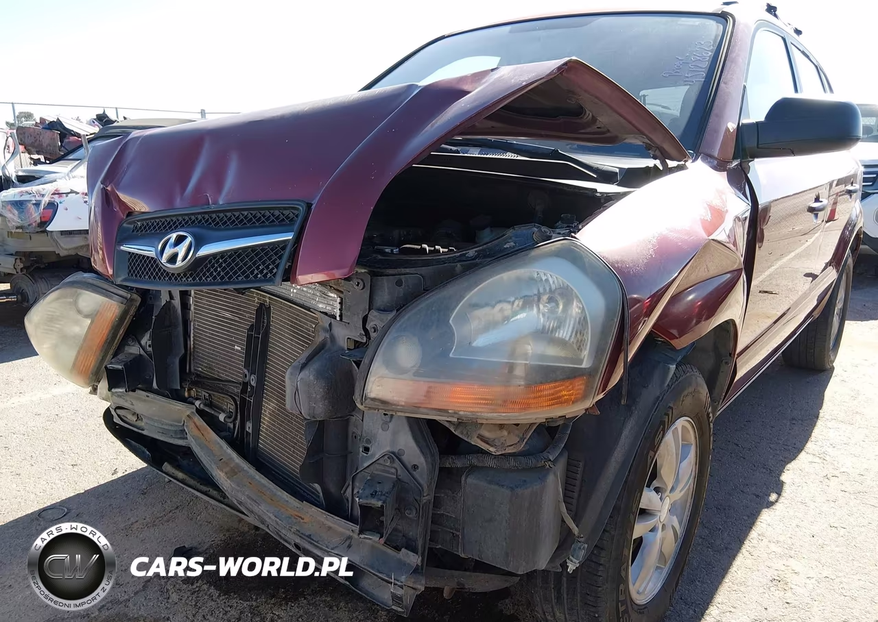 2009 Hyundai Tucson Gls VIN:KM8JM12B49U988429 - 6