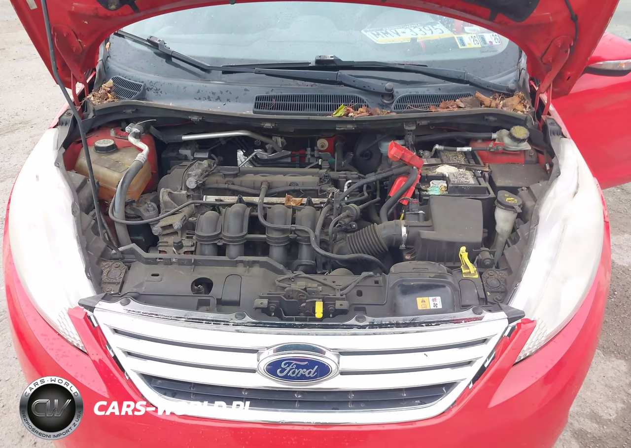 2013 Ford Fiesta Se VIN:3FADP4BJ1DM191415 - 10