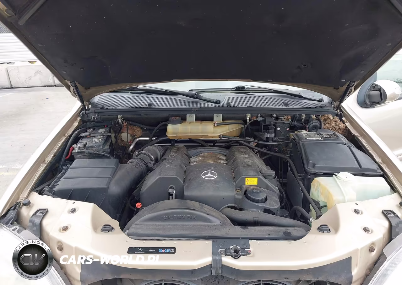 2002 Mercedes-Benz Ml 320 VIN:4JGAB54E72A338117 - 10