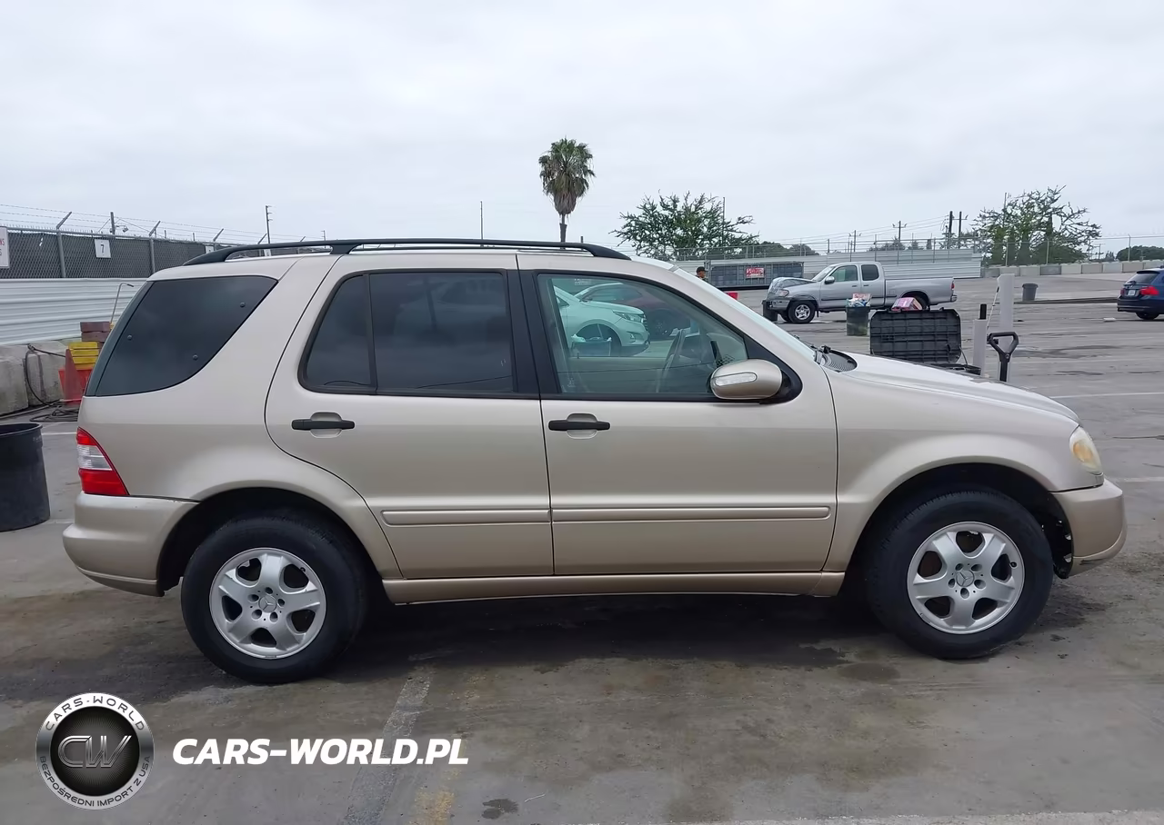 2002 Mercedes-Benz Ml 320 VIN:4JGAB54E72A338117 - 13